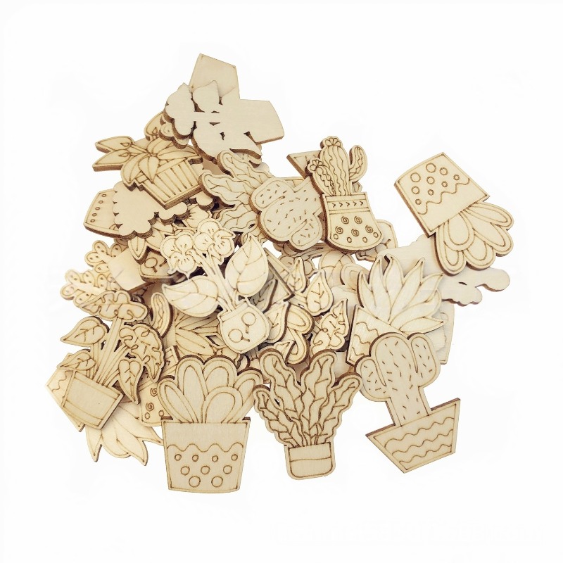 50PCS Mixed Styles Flower Cact - Cactus Mix Pot review and price